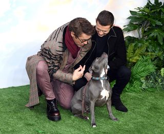 Dolittle still 7