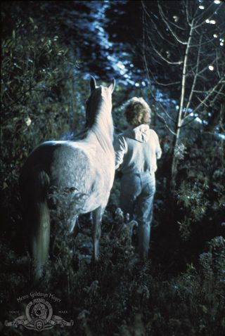 Equus still 1
