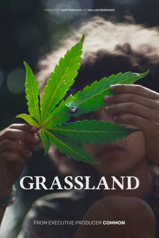 Grassland still 7
