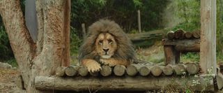 Secret Zoo still 8