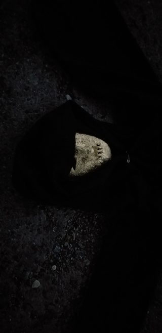 The Necromancer still 8