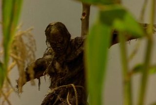 Scarecrow still 7