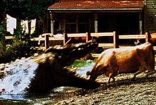 Lake Placid still 1