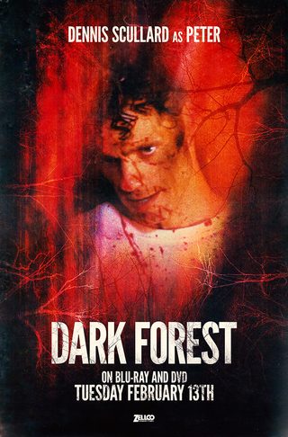 Dark Forest still 6
