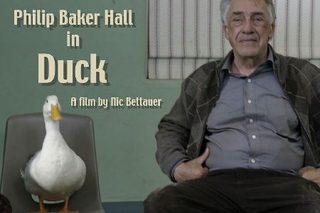 Duck still 3