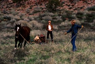The Electric Horseman still 4