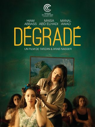 Dégradé still 1