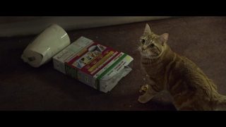 A Street Cat Named Bob still 8