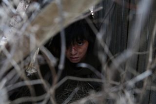 A Werewolf Boy still 8