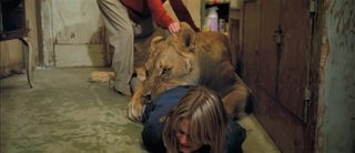 Roar still 8
