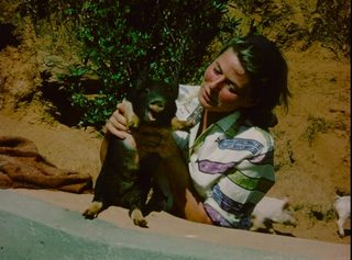 Ingrid Bergman: In Her Own Words still 6