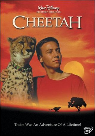 Cheetah still 4