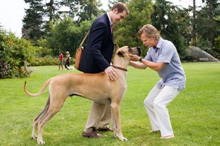 Marmaduke still 6