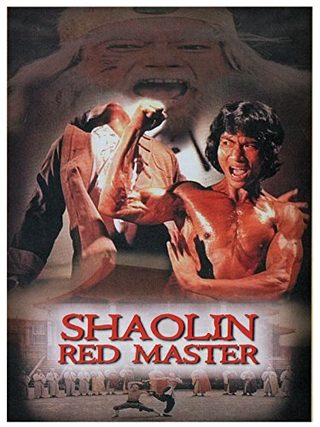 Shaolin Tough Kid still 1
