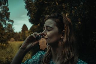 Alice in Terrorland still 6