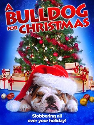 A Bulldog for Christmas still 1