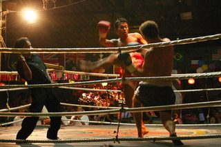 The Elephant King still 5