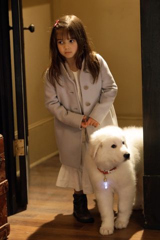 The Search for Santa Paws still 6