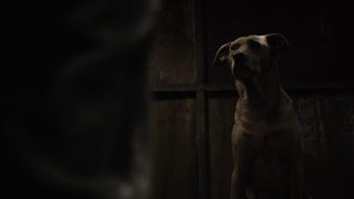 Dark Blood still 6