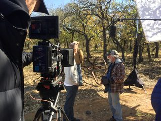 Whitetail still 2