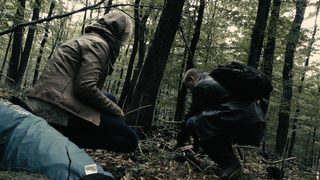 Moth still 1