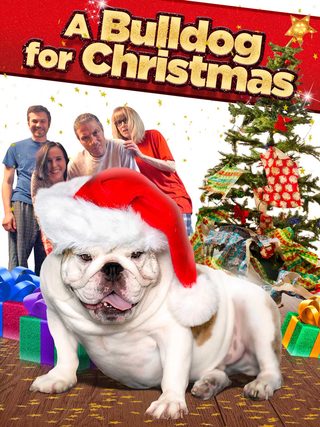 A Bulldog for Christmas still 5