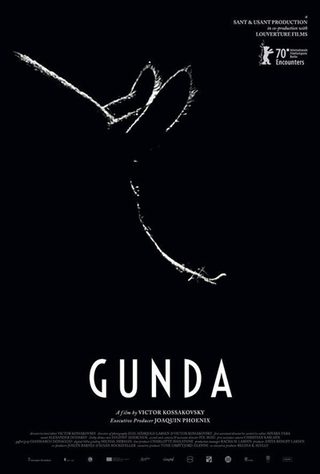 Gunda still 2