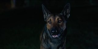 Max still 6
