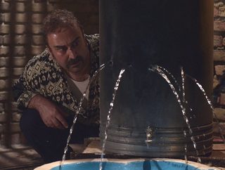 Centipede still 6