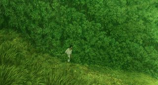 The Red Turtle still 4