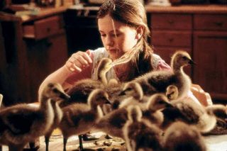 Fly Away Home still 3