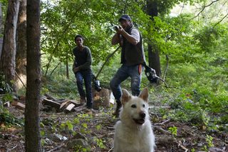 It Comes at Night still 5