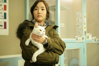 The Cat still 3