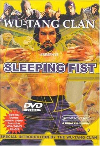 Sleeping Fist still 2