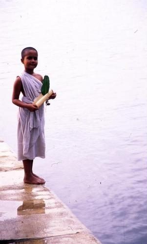 Water still 4