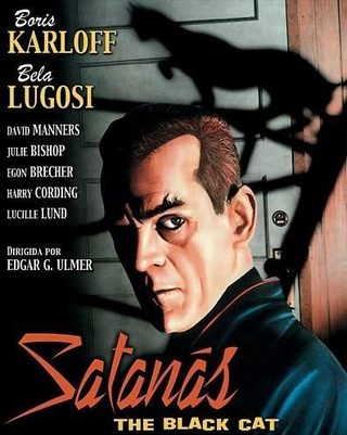 The Black Cat still 3