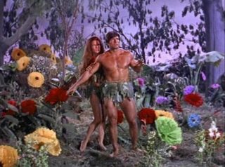 The Sin of Adam and Eve still 7