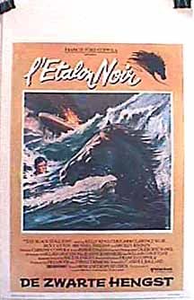 The Black Stallion still 8