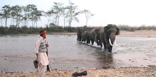 Sherdil: The Pilibhit Saga still 4