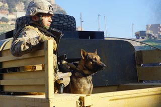 Megan Leavey still 7