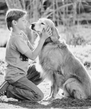 Homeward Bound: The Incredible Journey still 4