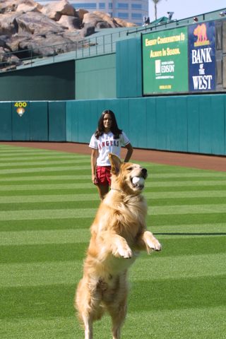 Air Bud: Seventh Inning Fetch still 7
