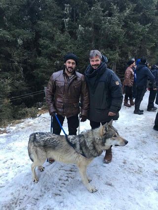 Tiger Zinda Hai still 2