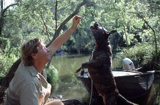 The Crocodile Hunter: Collision Course still 1