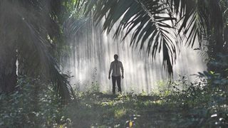 The Jungle still 6