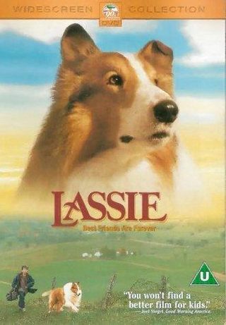 Lassie still 8
