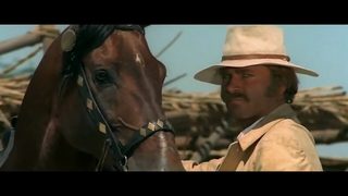 Compañeros still 8
