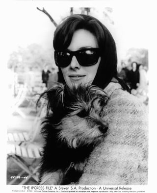 The Ipcress File still 8