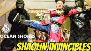 Shaolin Invincibles still 5