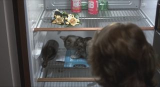 Love at First Bite still 6